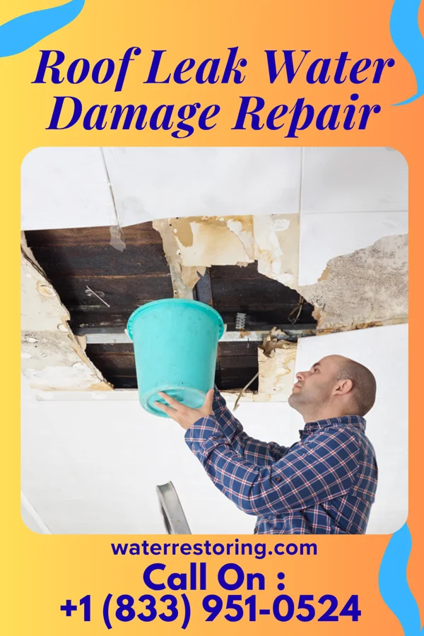 Roof Leak Water Damage Repair in Kendall, WA